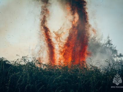 Факты подтверждают пожароопасность в Севастополе