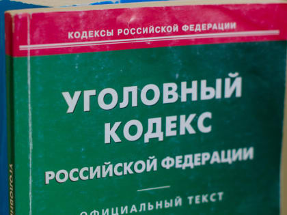 В Севастополе опекунша украла у несовершеннолетней племянницы земельный участок и дом