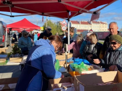 О продуктах — свысока