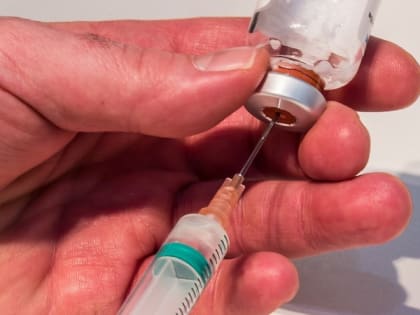Вакцинация против клещевого энцефалита началась в Севастополе