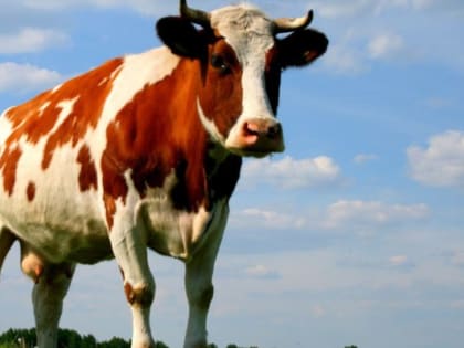 Опасные ситуации для детей