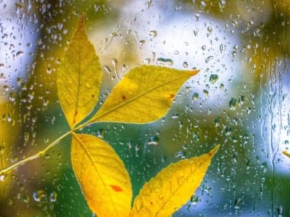 Погода на 16 октября: в Крыму и Севастополе прогнозируется дождь