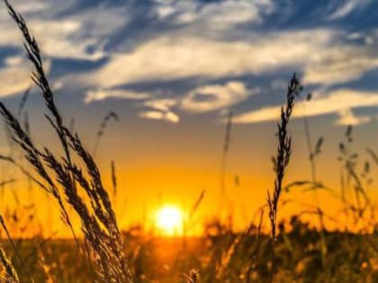 Погода на 20 июля: в Крыму и Севастополе до +30°С, без осадков