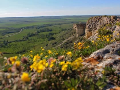 Погода на 31 марта: воздух в Крыму прогреется до +26°С