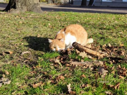 Гороскоп на 15 марта: у Стрельцов удачный день для поездок, Девам лучше не рисковать