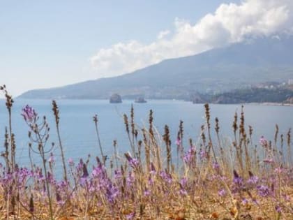 Каким будет бархатный сезон в Крыму