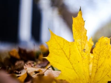 Что меняется в жизни россиян с сентября 2023 года