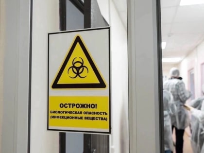 COVID-19 в Севастополе: за сутки подтвердились 19 новых случаев