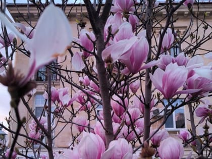 Погода на 30 марта: в Крым и Севастополь пришла настоящая весна