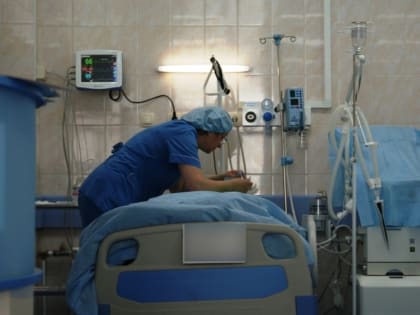 Забайкальцы, съевшие мясо медведя, заразились опасными гельминтами