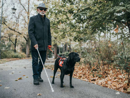 Международный день Белой трости: символ солидарности и помощи незрячим