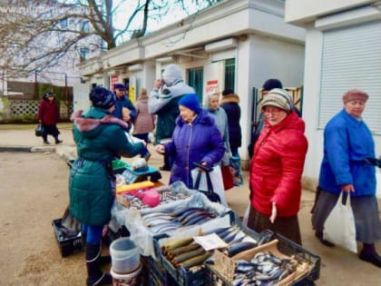 «Подсказка налоговой». Какие документы помогут севастопольцам получить полную информацию по расчетам с бюджетом