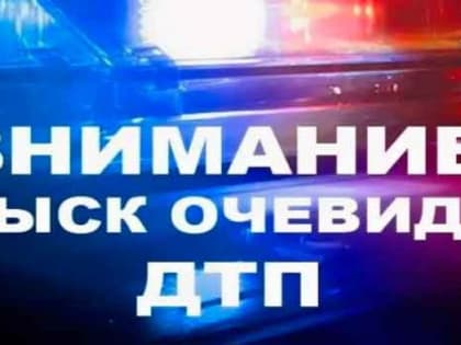 ГИБДД Севастополя разыскивает свидетелей ДТП