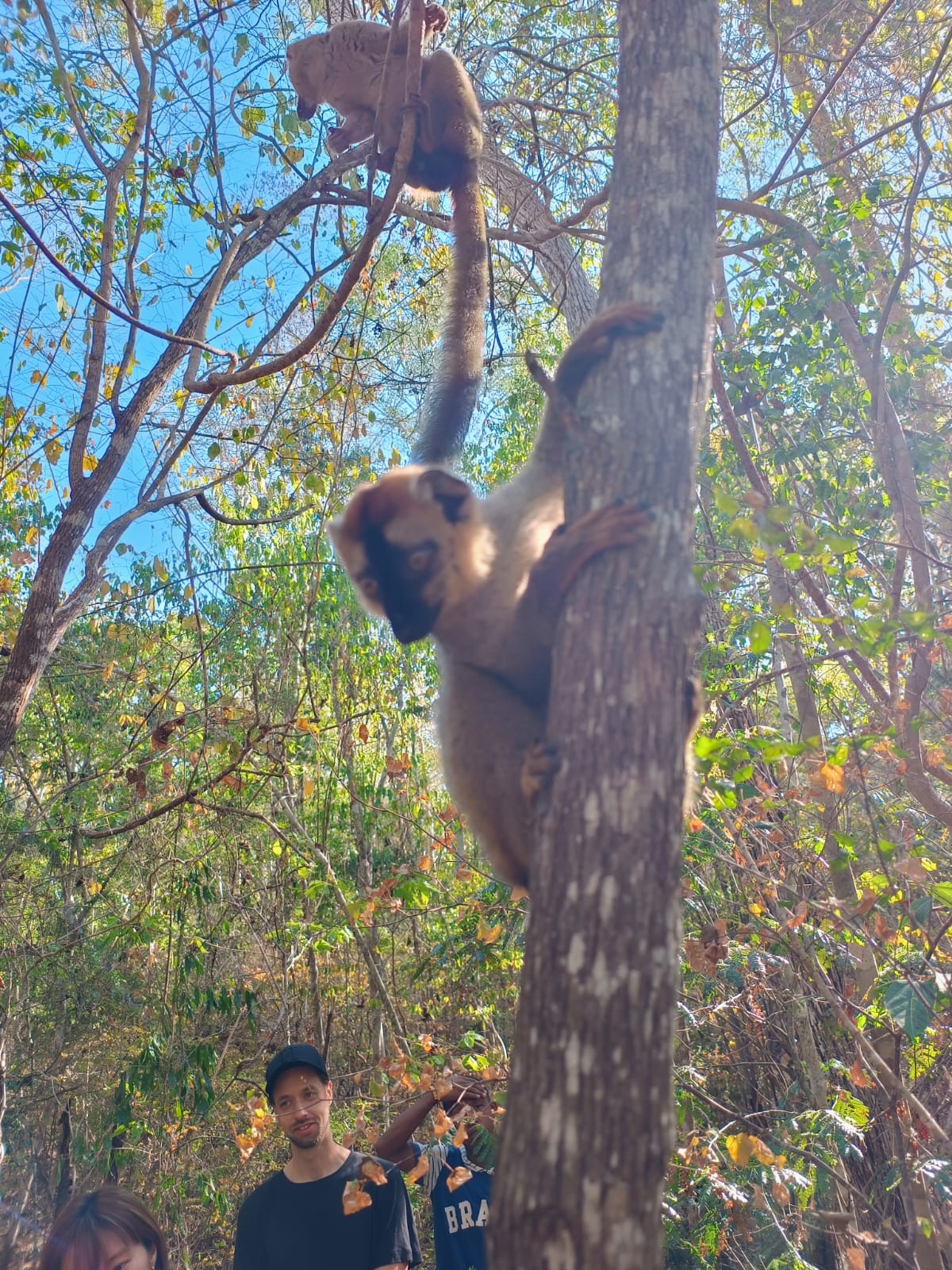 Adventure Highlights