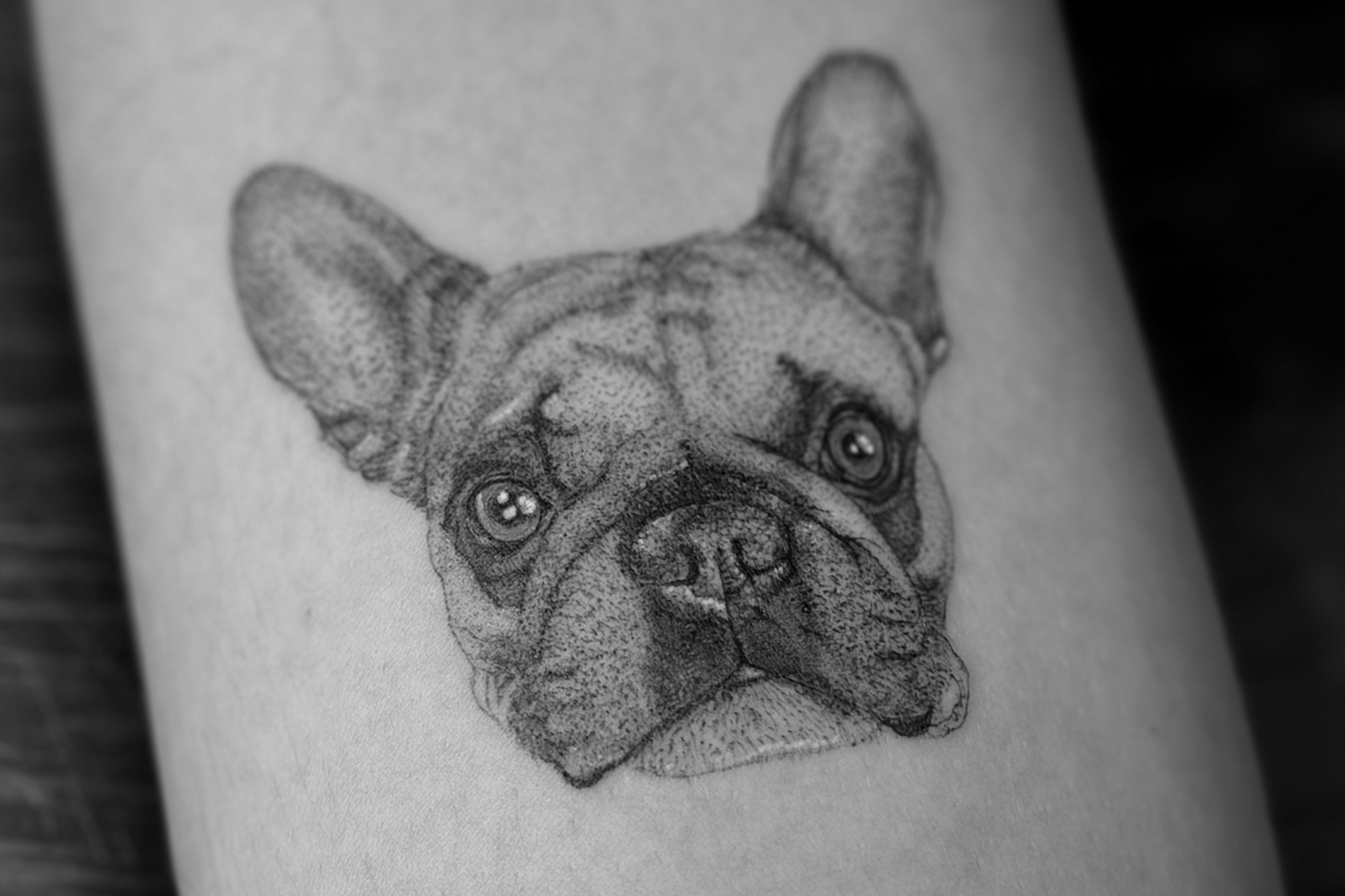 Pet portrait tattoo