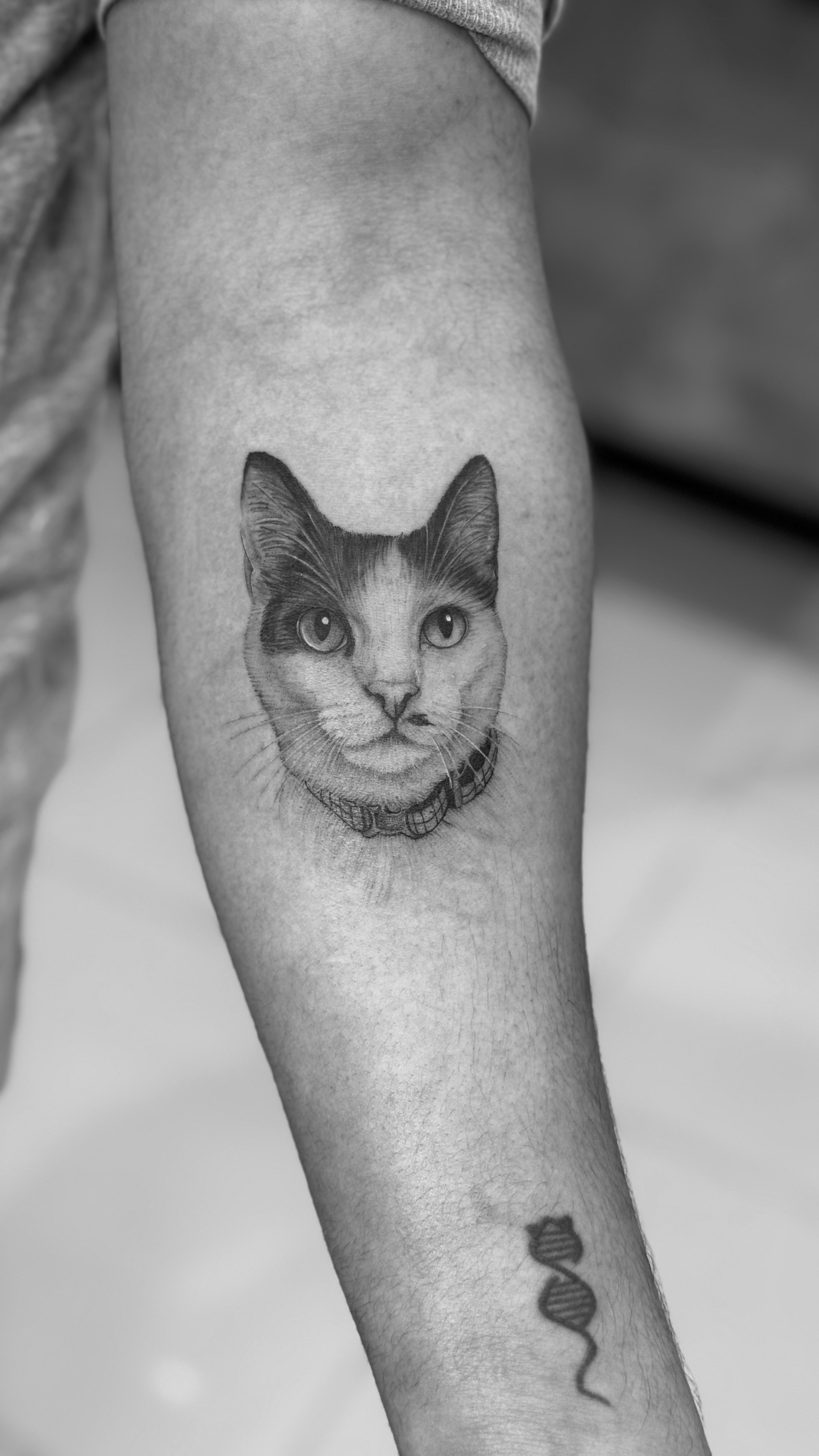 Pet portrait tattoo
