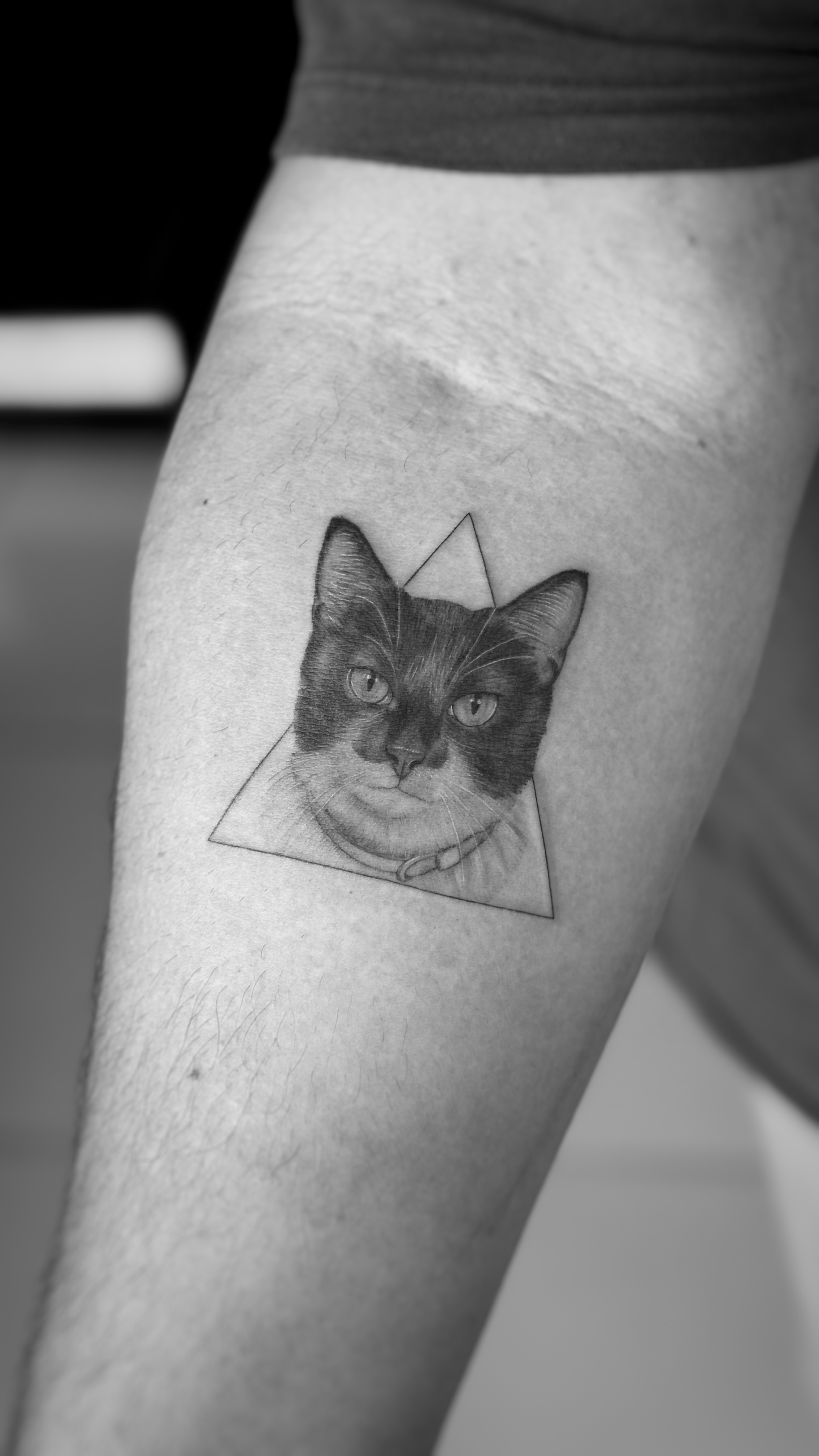Pet portrait tattoo