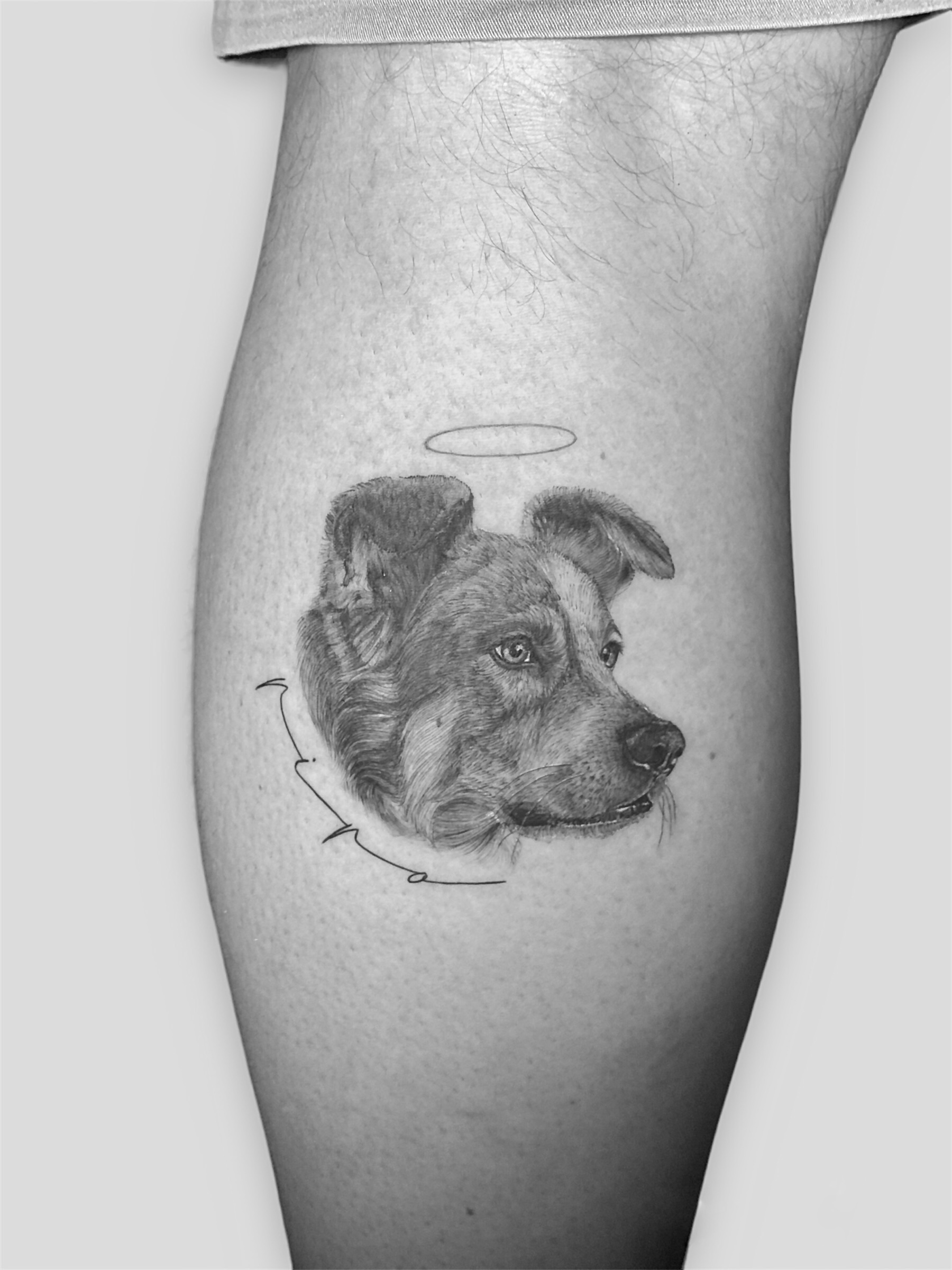 Pet portrait tattoo