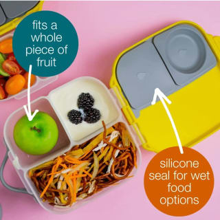 BBox Large LunchBox – Forest