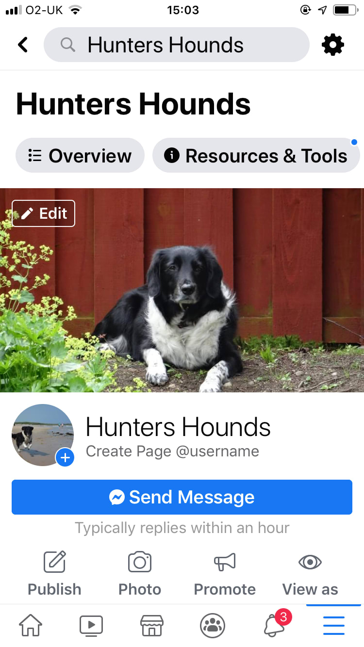 Hunters Hounds