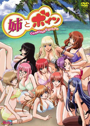 Portada anime hentai Ane To Boin