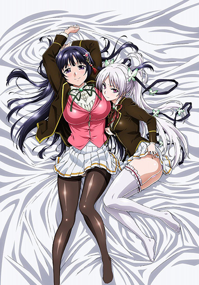 Ojou-sama Yomeiri Kousou! Portada serie hentai Ojou-sama Yomeiri Kousou!