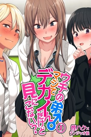 Portada anime hentai Uchi No Otouto Maji De Dekain Dakedo Mi Ni Konai?