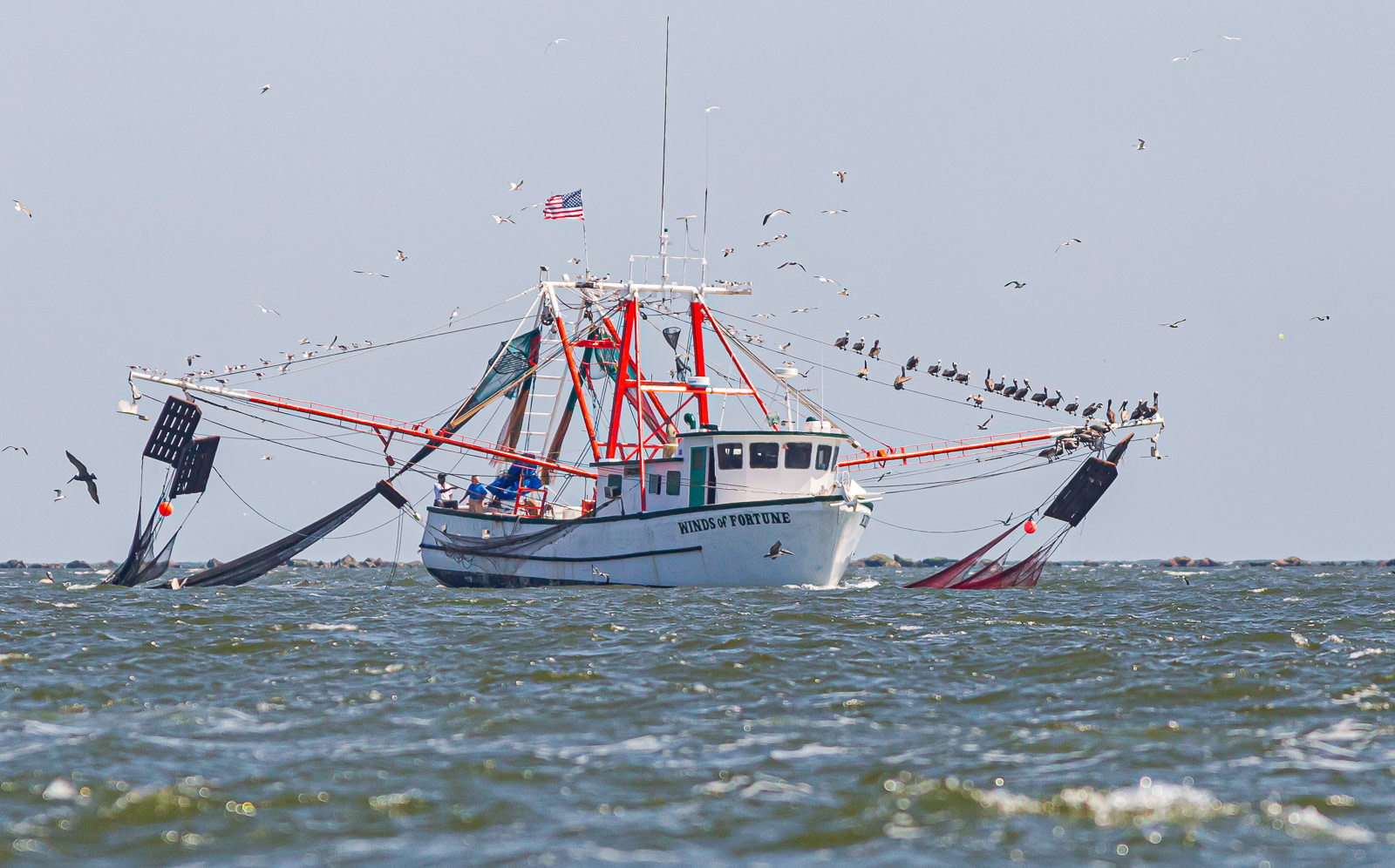 The best seafood restaurants in Charleston SC serve only the freshest shrimp, caught daily along the Carolina coast by traditional shrimp boats.