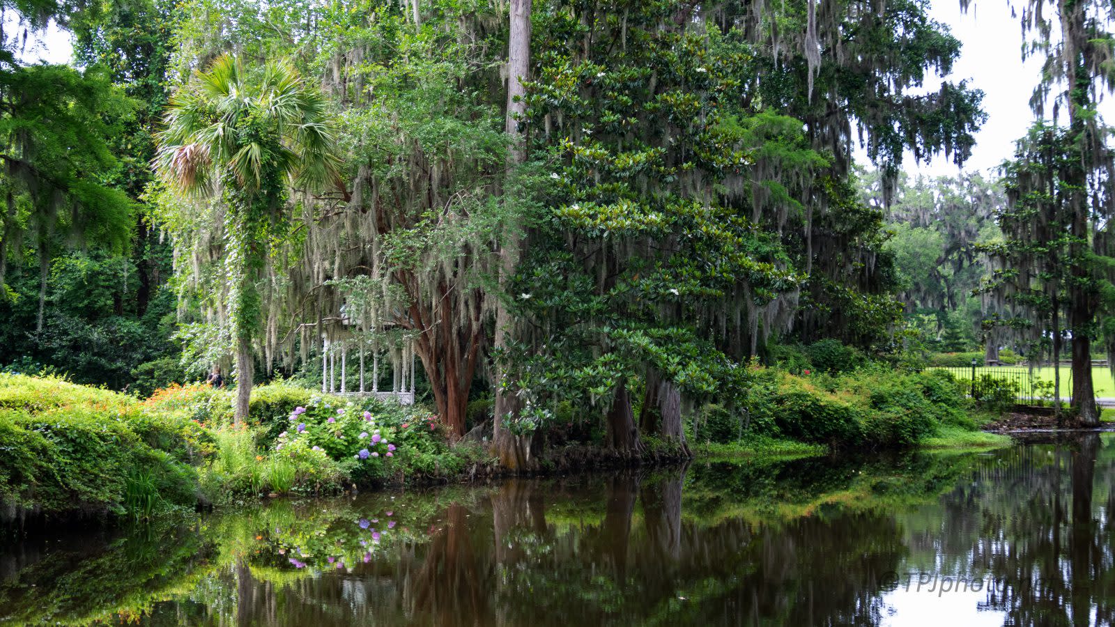 For the most romantic tour in Charleston, visit Magnolia Plantation and Gardens.