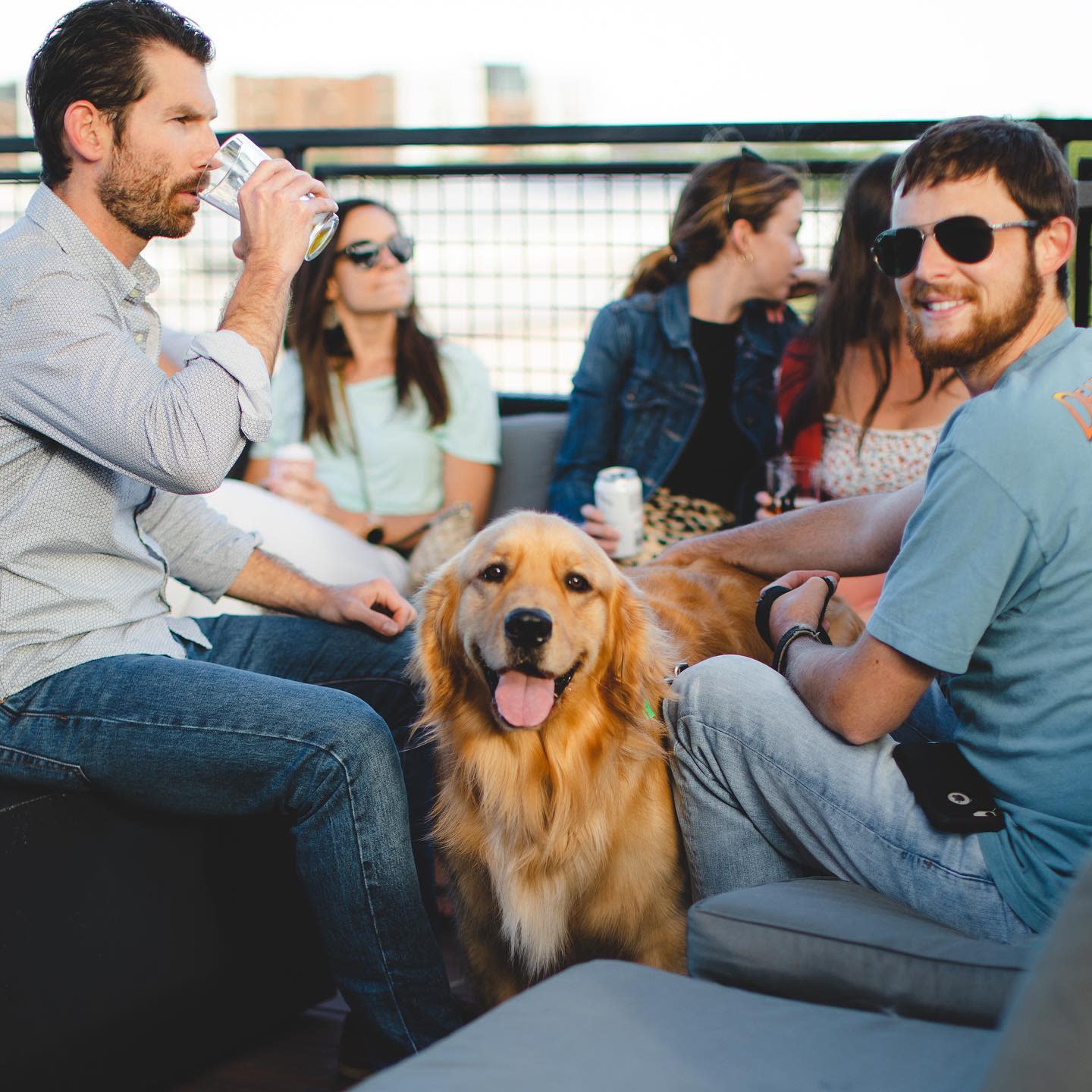 Revelry Brewing has one of the best views during Charleston's golden hour and breathtaking summer sunsets.