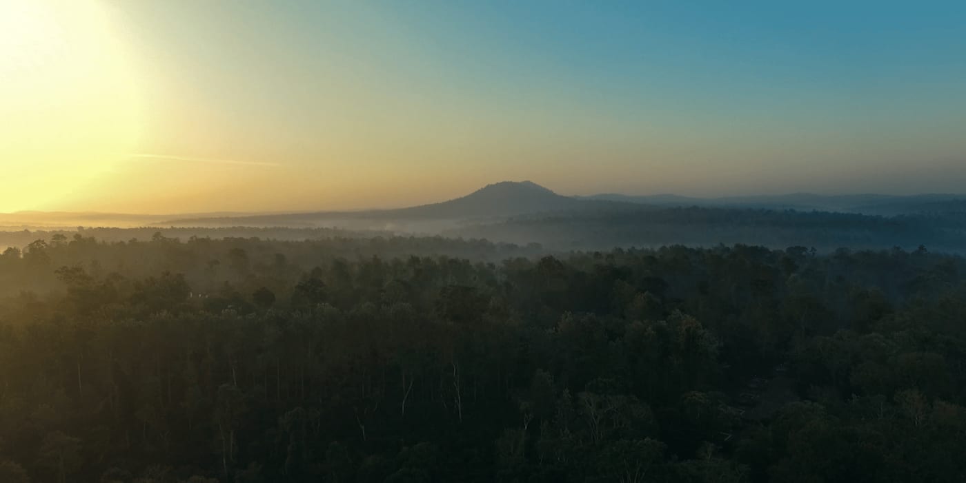 Evolve Back Coorg — Coorg coffee plantation wedding ceremony setting — Panigrahana