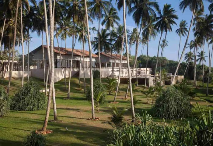 Amanwella Sri Lanka coconut grove garden tropical wedding ceremony setting — Panigrahana