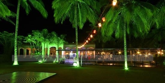 The Windflower Prakruthi Bangalore elegant wedding reception with floral stage decor — Panigrahana