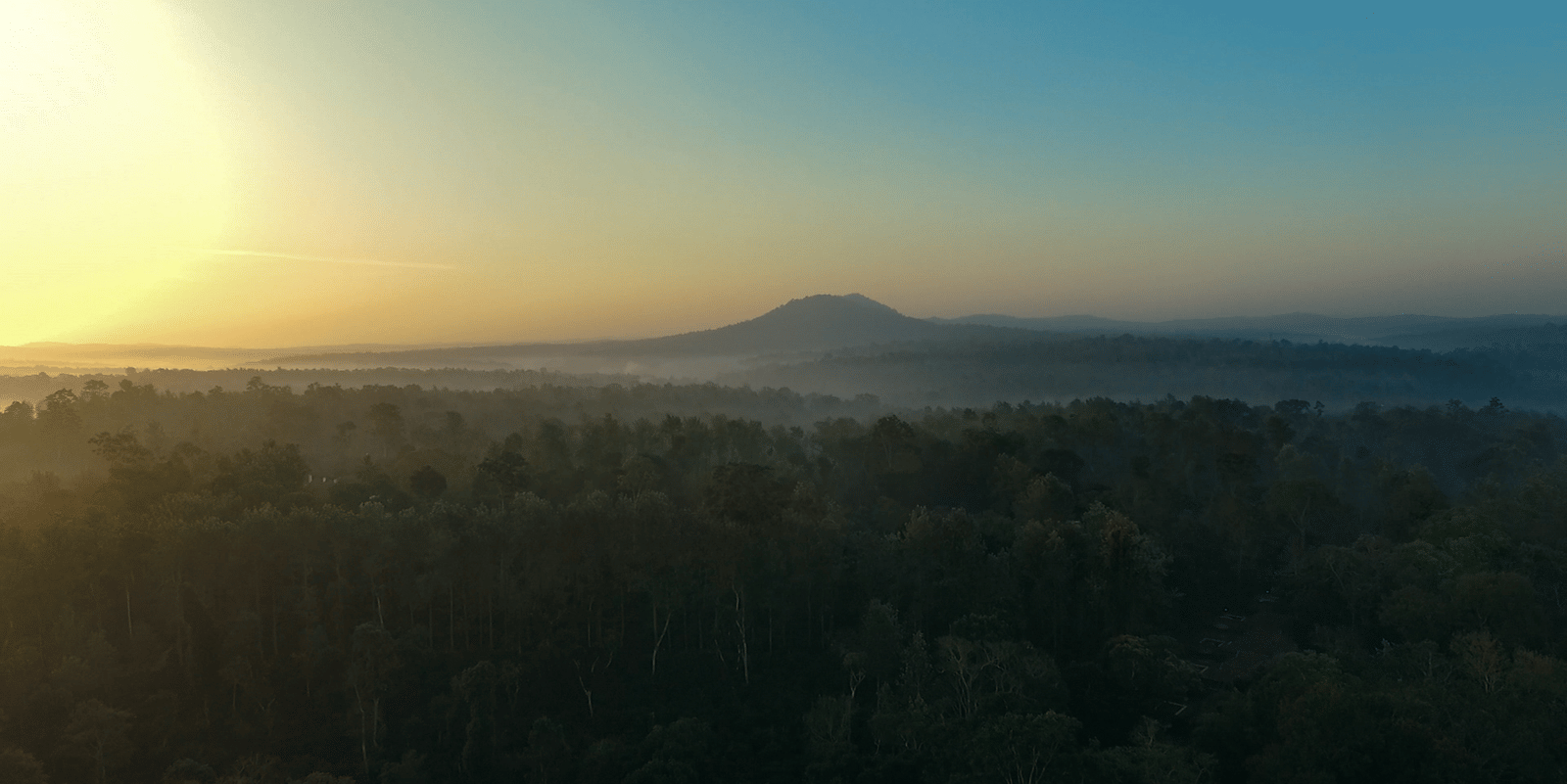 Evolve Back Coorg — Coorg coffee plantation wedding ceremony setting — Panigrahana