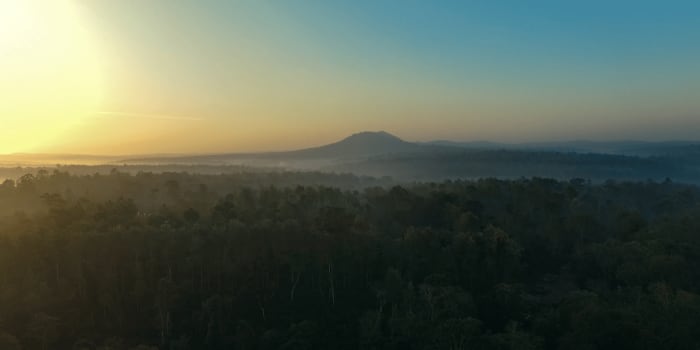 Evolve Back Coorg — wedding venue in Coorg (3.5 hrs from Bangalore)