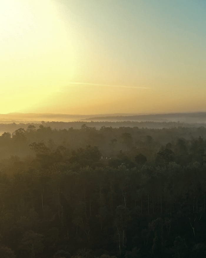 Evolve Back Coorg — wedding venue in Coorg (3.5 hrs from Bangalore)