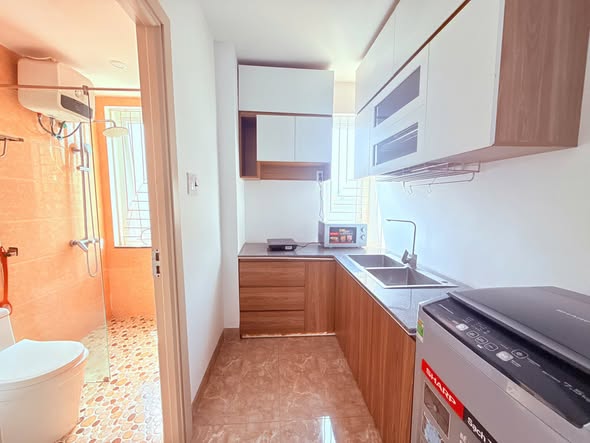 Modern 1-Bedroom Apartment in Serene Son Tra District — photo 3