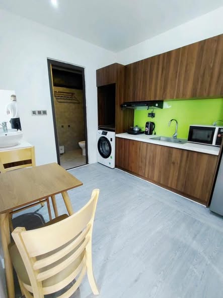 Fully Furnished 1-Bedroom Apartment with Dragon View — photo 3