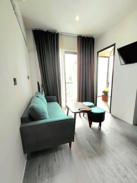 Fully Furnished 1-Bedroom Apartment with Dragon View — photo 4