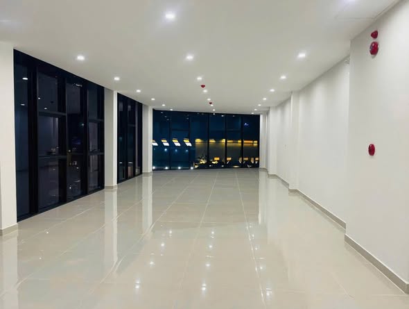 Modern 6.5-Story Commercial Building Near Dragon Bridge — photo 4