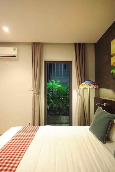 Modern House with Garden in Hai Chau District — photo 4