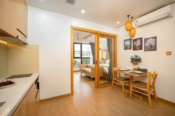 Modern One-Bedroom Apartment in Central Son Tra — photo 5