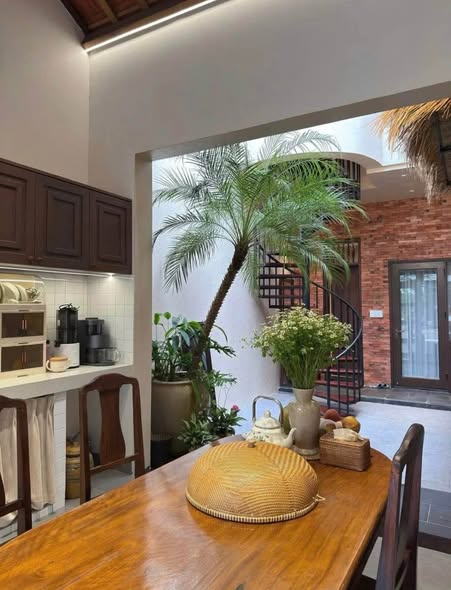 Stunning 3-Story Villa with Garden For Sale in Hai Chau — photo 5