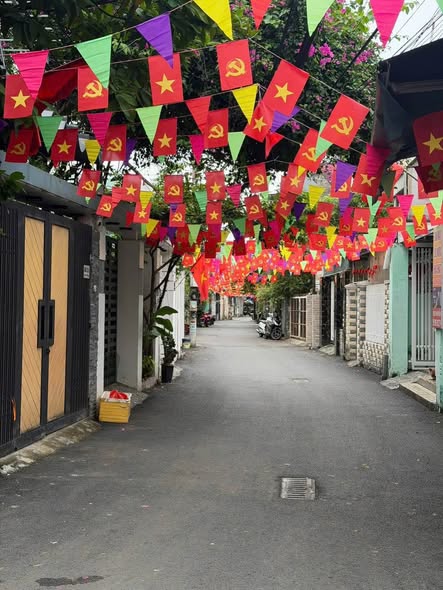 Spacious Land Plot for Sale in Da Nang — photo 2