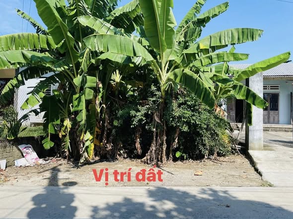 Prime Land Plot For Sale in Da Nang Suburbs — photo 3
