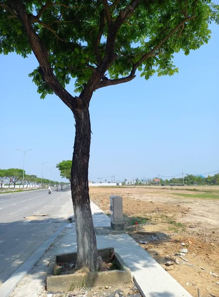 Prime Frontage Land on Vo Chi Cong for Sale — photo 2