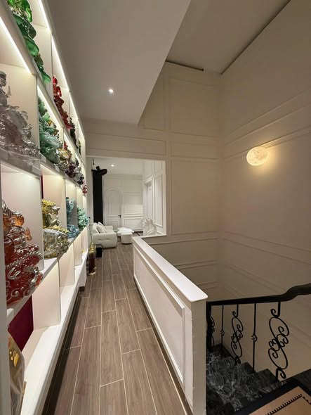 Prime Frontage House in Hai Chau - Ideal Business Space — photo 3