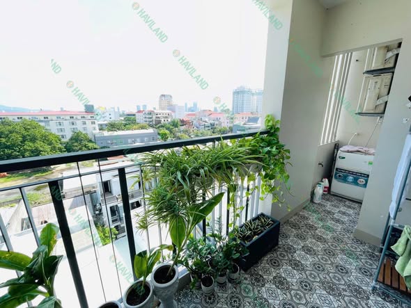 Modern 2BR Apartment in Vibrant City Center Da Nang — photo 1