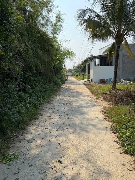 Prime 100m2 Land Plot in Hoa Xuan for Sale — photo 2
