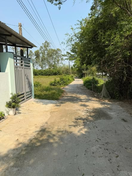 Prime 100m2 Land Plot in Hoa Xuan for Sale — photo 3